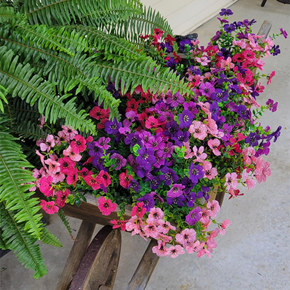 UV-Resistant Outdoor Flowers | Zero Maintenance Color | 50% OFF Today