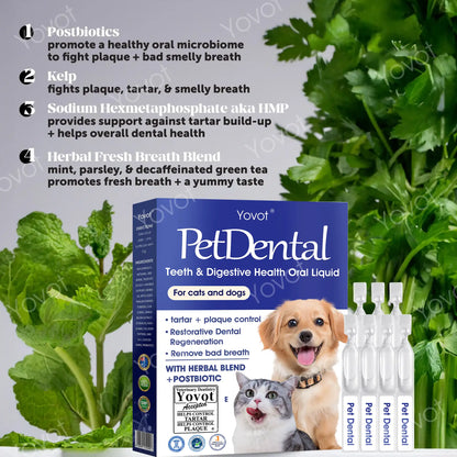 [ Official Store ] Yovot® Pet Dental & Digestive Health Oral Liquid–Freshen Breath, Remove Tartar & Promote gum regeneration, stabilize teeth (for Cats & Dogs)  – Save 70% Today!
