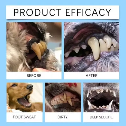 [ Official Store ] Yovot® Pet Dental & Digestive Health Oral Liquid–Freshen Breath, Remove Tartar & Promote gum regeneration, stabilize teeth (for Cats & Dogs)  – Save 70% Today!