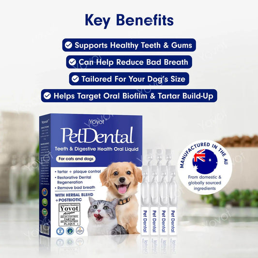 [ Official Store ] Yovot® Pet Dental & Digestive Health Oral Liquid–Freshen Breath, Remove Tartar & Promote gum regeneration, stabilize teeth (for Cats & Dogs)  – Save 70% Today!